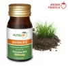 integratore alimentare b12