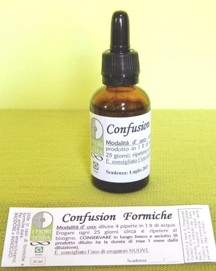 kit contro formiche