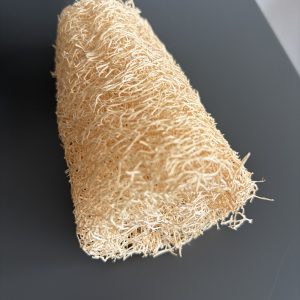 Alternative view of Trancio di luffa da circa 11 cm