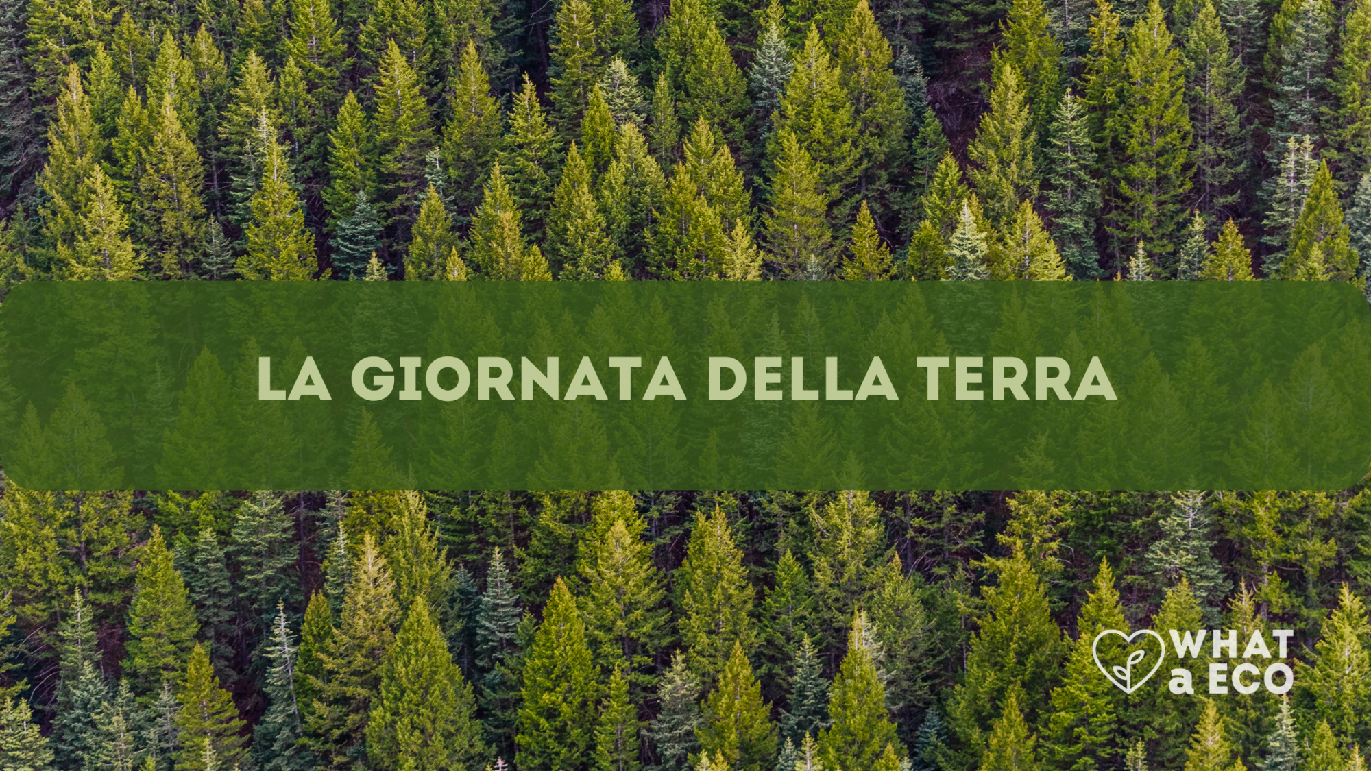 La Giornata della Terra - WHATaECO