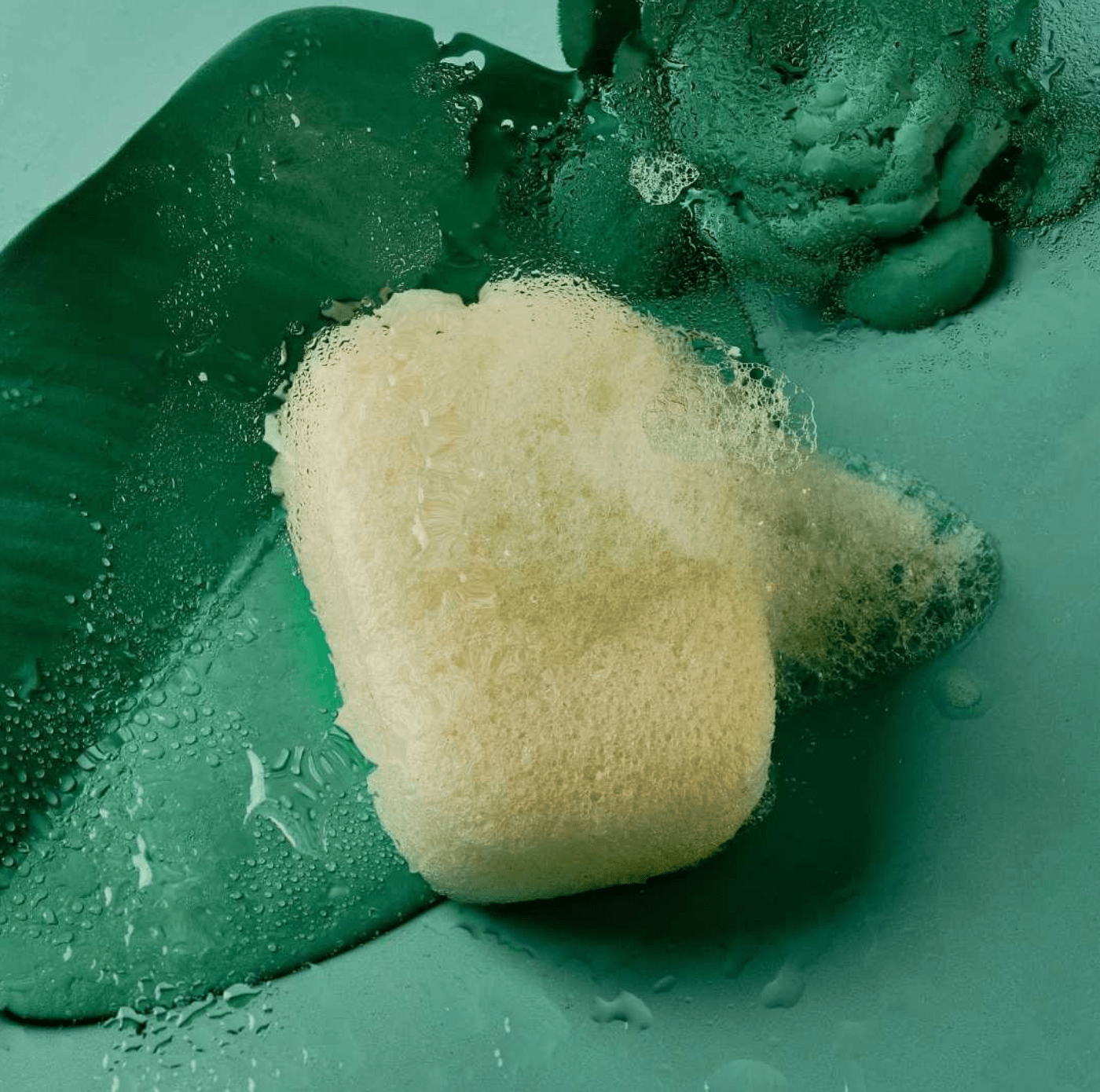 Spugna Konjac Bianca Corpo | Spugna corpo purificante - immagine 4