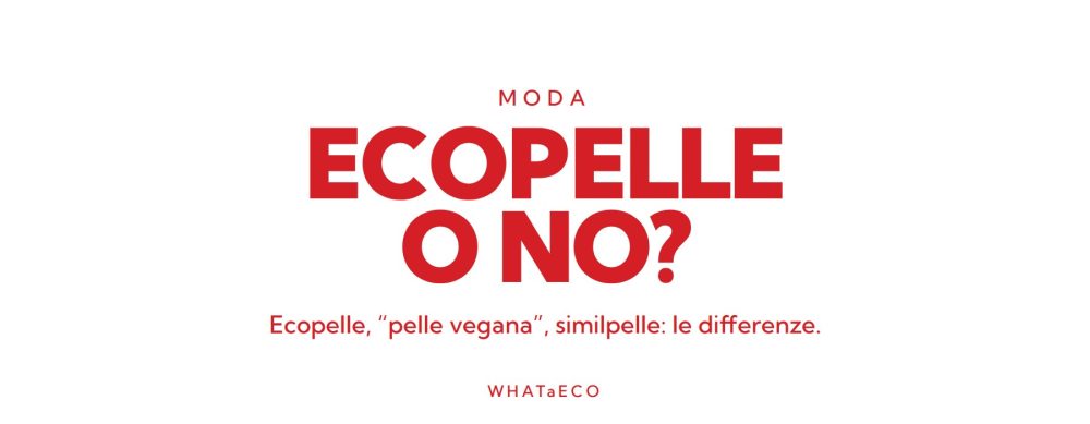 Copertina articolo WHATaECO: ecopelle pelle vegana