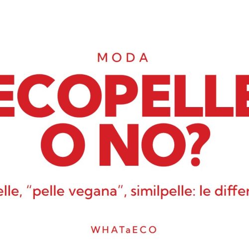 Copertina articolo WHATaECO: ecopelle pelle vegana