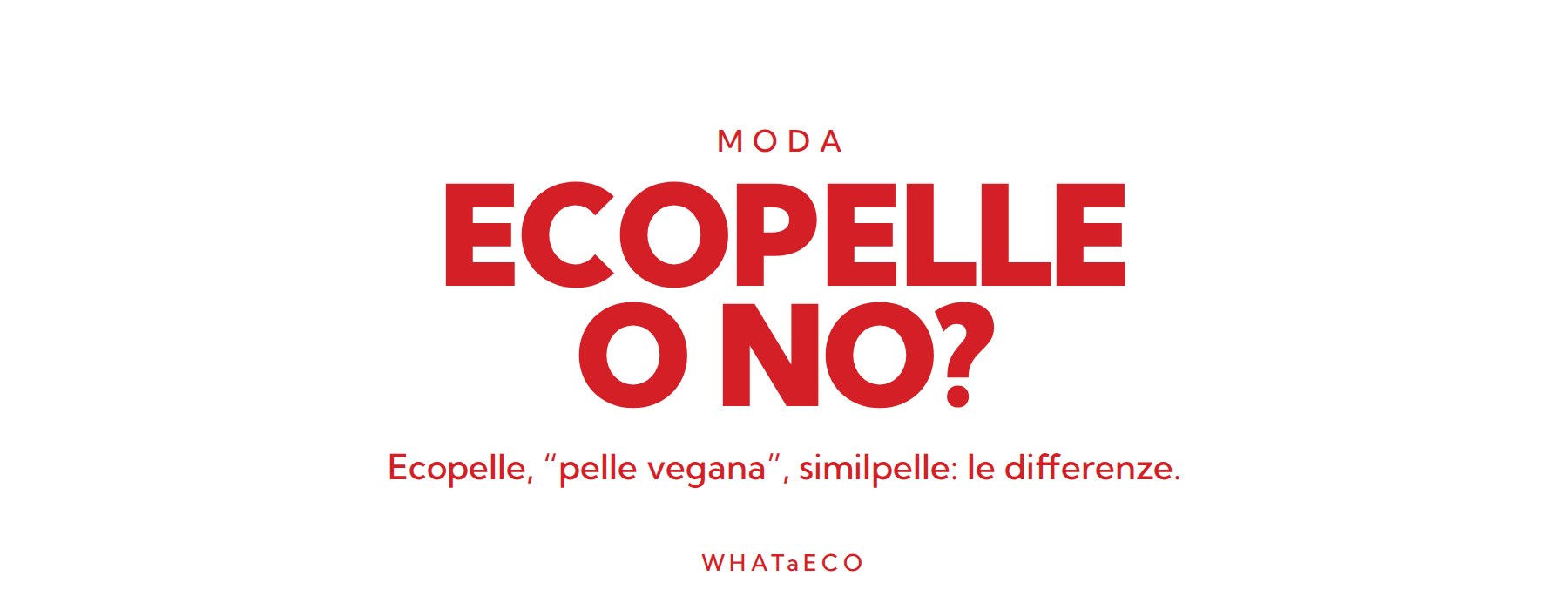 Copertina articolo WHATaECO: ecopelle pelle vegana