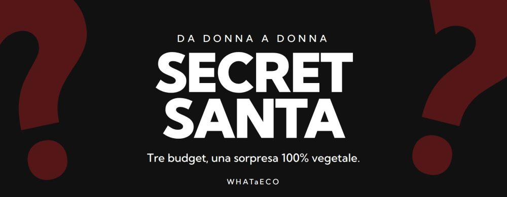 Secret Santa: Mystery Box WHATaECO