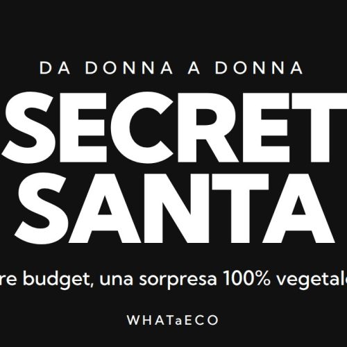 Secret Santa: Mystery Box WHATaECO
