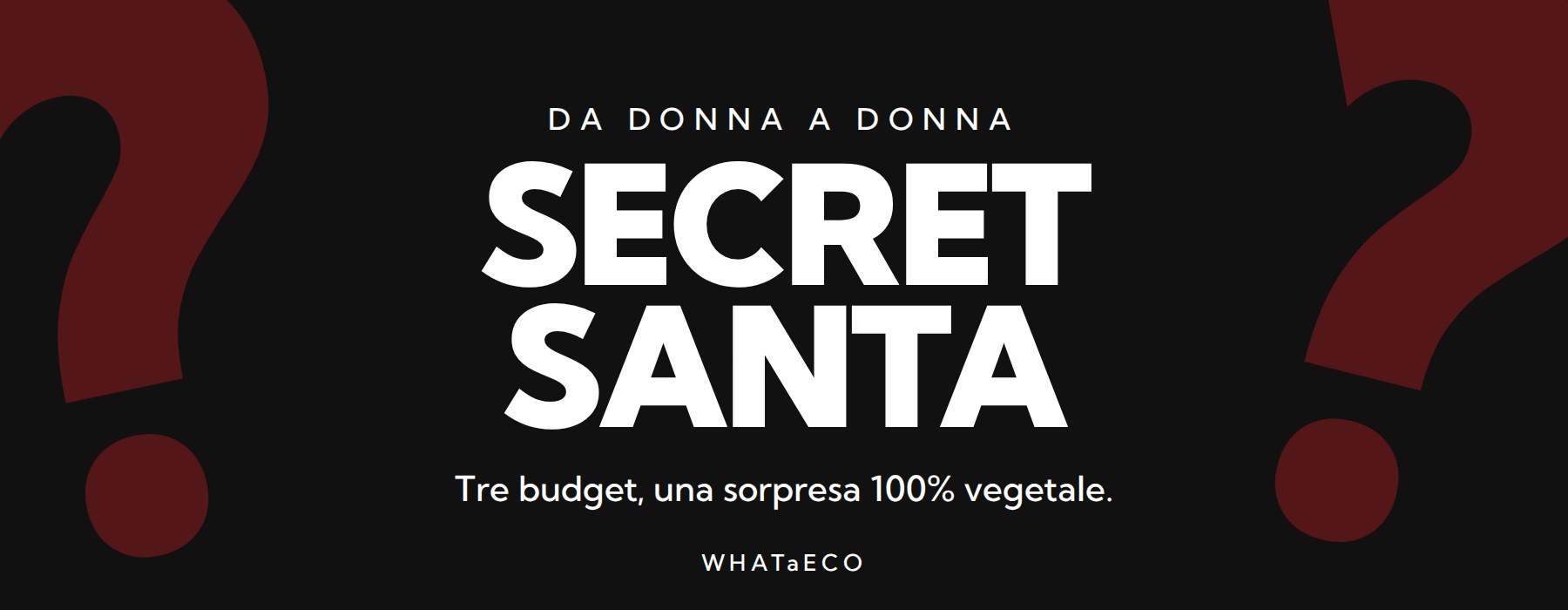 Secret Santa: Mystery Box WHATaECO